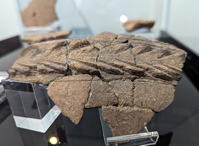 Iron Age Pottery from Combe Hill